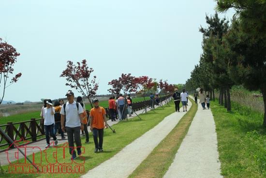 Hàn Quốc giới thiệu tour đến các địa điểm thi đấu của U20 Việt Nam ảnh 1